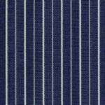 Pinstripe Denim