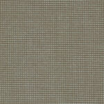 Sparkle Taupe